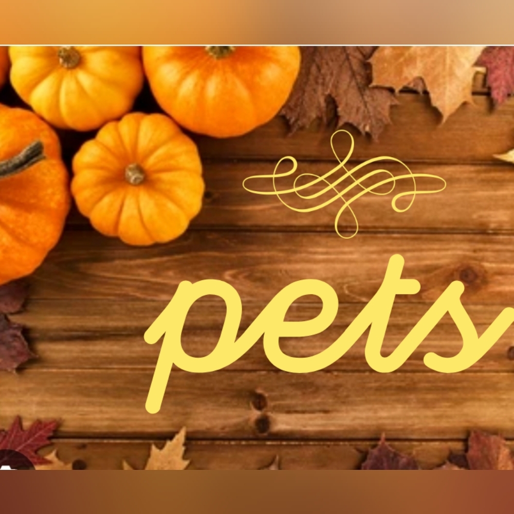 Pet items - Picture 4 of 4